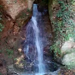 Forestrock For Sale Too בית נופש ספארטי