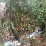 Forestrock For Sale Too בית נופש