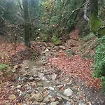 Forestrock For Sale Too בית נופש *
