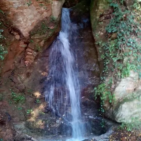 Forestrock For Sale Too Сasa de vacaciones Esparta