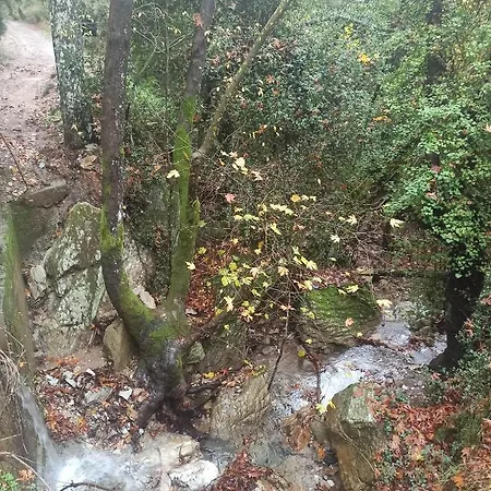 Forestrock For Sale Too Сasa de vacaciones