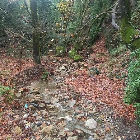 Forestrock For Sale Too Holiday home *