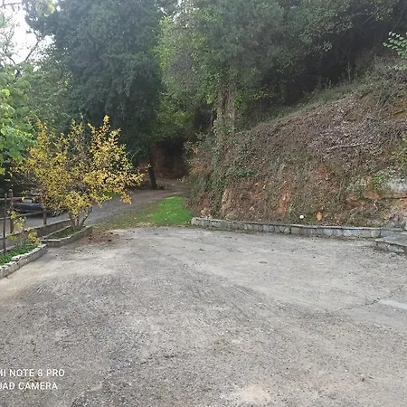 Forestrock For Sale Too Holiday home Sparta