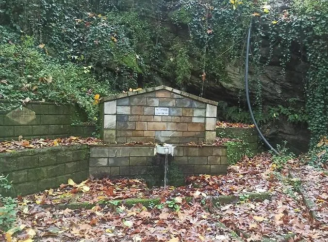 Forestrock For Sale Too Vakantiehuis *