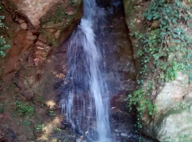 Forestrock For Sale Too Vakantiehuis Sparta