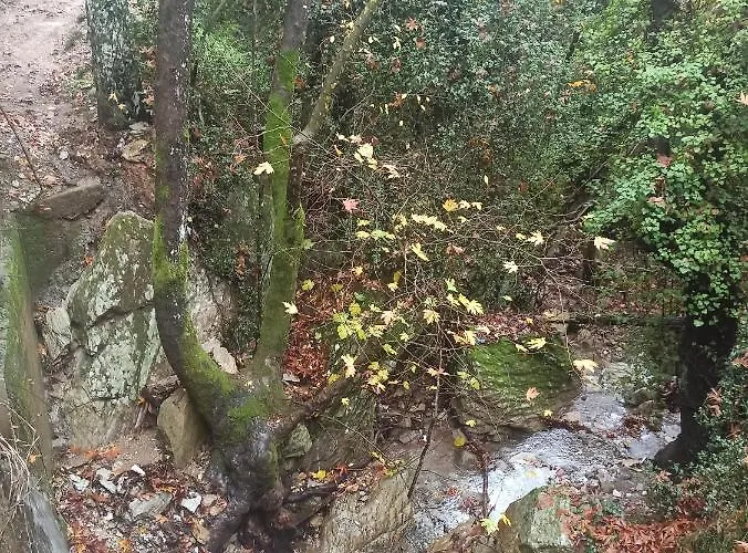 Forestrock For Sale Too Feriehus