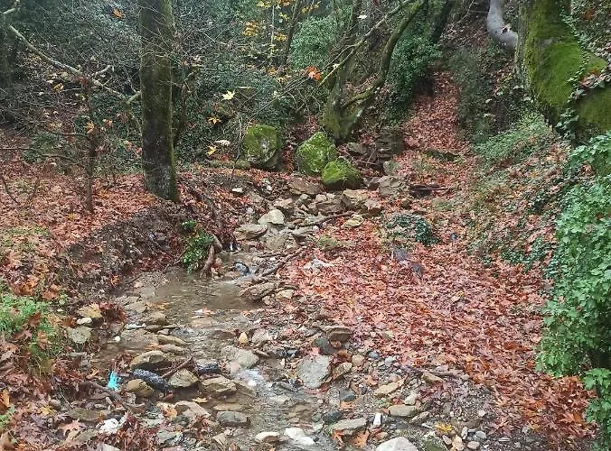 Forestrock For Sale Too Vakantiehuis *