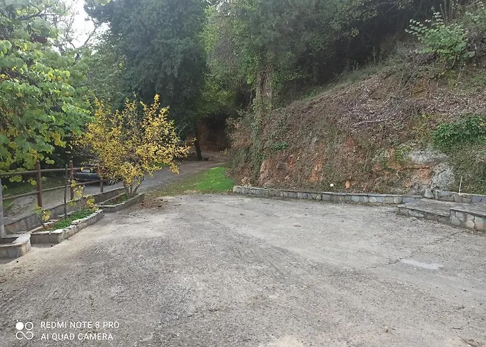 Forestrock For Sale Too Vakantiehuis Sparta